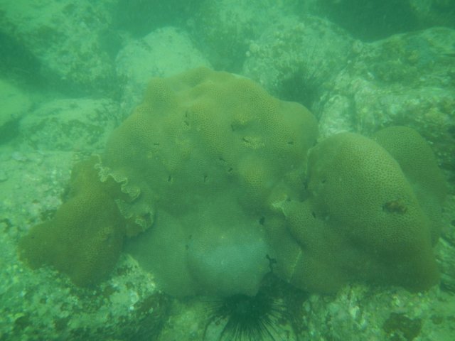 dscn1569